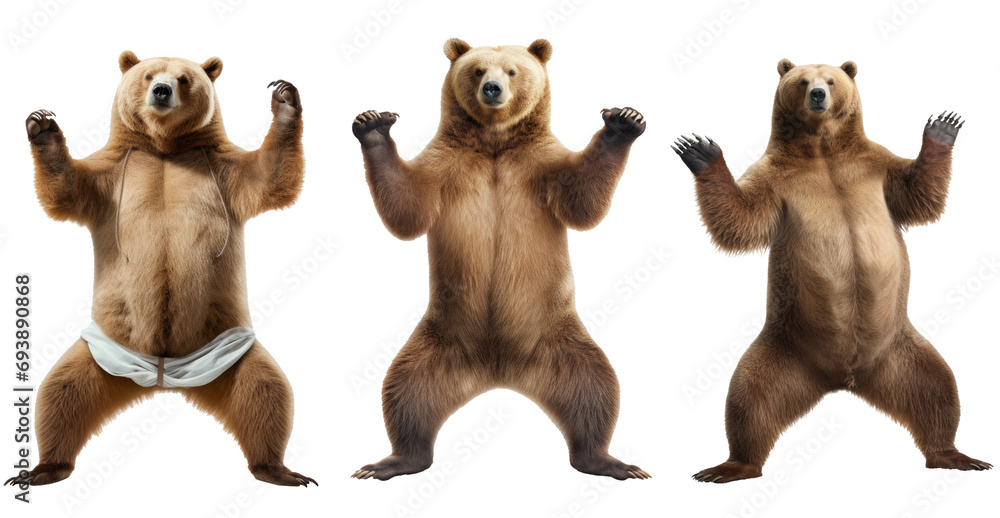 Naklejka premium A BEAR STANDING ON ONE LEG DOING A YOGA TREE POSE ON A WHITE BACKGROUND