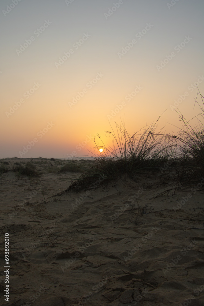 Obraz premium Sunrise in desert