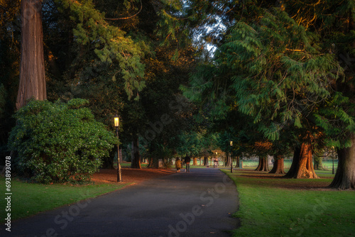 Photography People blurred in motion, walking on footpath surrounded by majestic trees and v