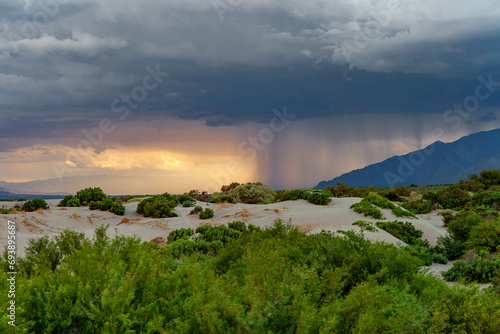 Fototapeta Naklejka Na Ścianę i Meble -  Stormy and rainy afternoon with white sand dunes and green bushes in the foreground.