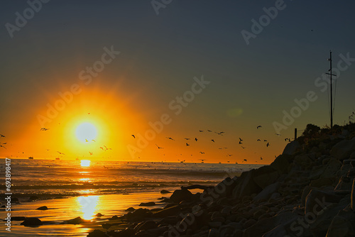 Sea birds n feeding frenzy at sunset at Rincon point in California