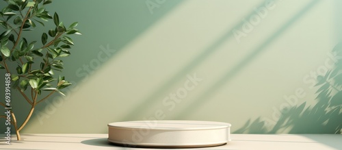Pastel Color elegant delicate background for presentations in form of empty round pedestal  podium against of light wall framed by branches with green foliage and shadow and light from window