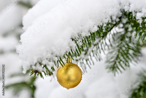 AUT, Linz, Schnee, Stadt, Schneefall, Schneechaos, Neuschnee, Winter, Weihnachten, Baum, Strauch, Landschaft