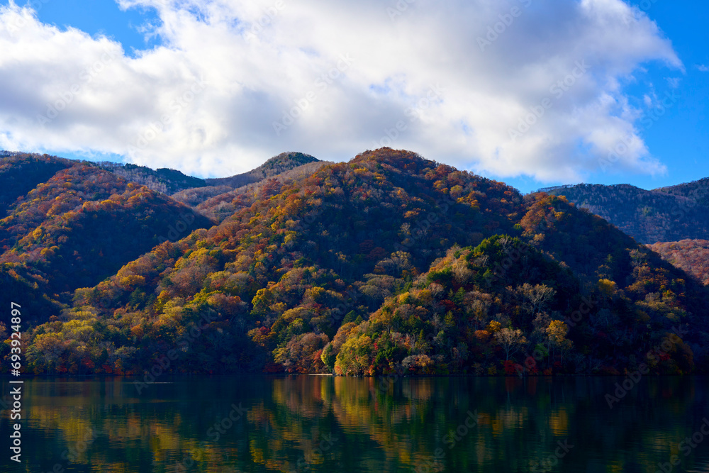 lake in the autumn , tochigi, japan