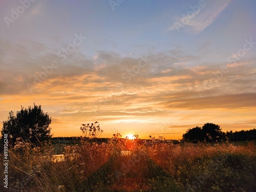 sunset over the field