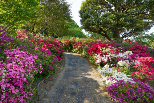 path in the park in tochigi  japan