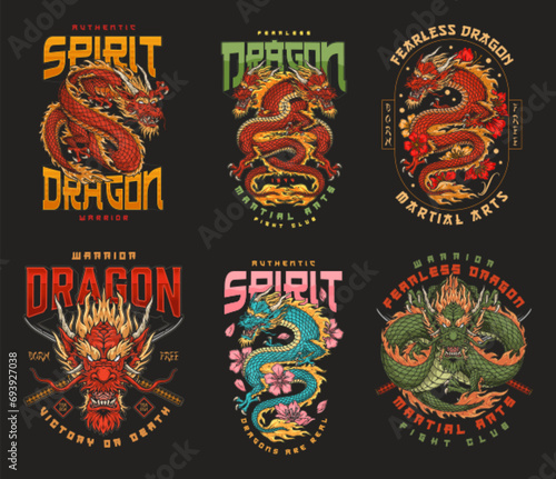MMA dragon colorful set poster