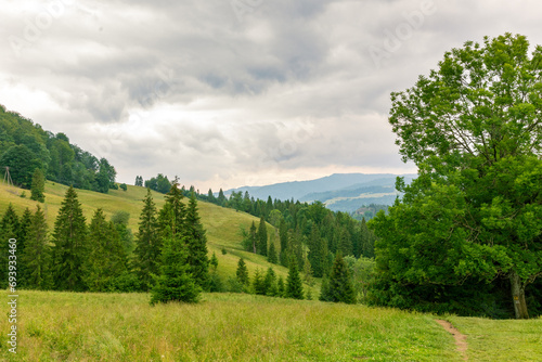 A hiking trail from the Homole Gorge to the highest peak of Pieniny Wysoka