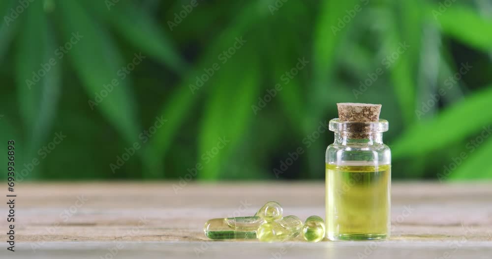 Cbd, capsules and oil on table as medicine, product and legal marijuana with leaves in background. Liquid, cannabis and gel pills on desk for healthcare, treatment or supplement with bottle container Cbd, capsules and oil on table as medicine, product and legal marijuana with leaves in background. Liquid, cannabis and gel pills on desk for healthcare, treatment or supplement with bottle container