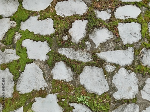 moss on stone