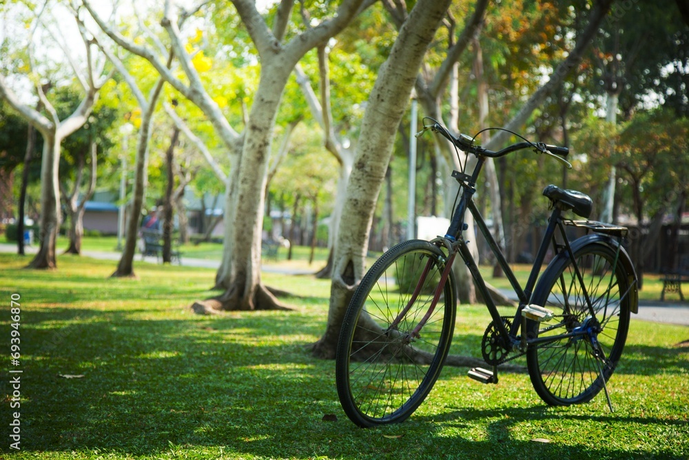 Old bicycle in the park.
