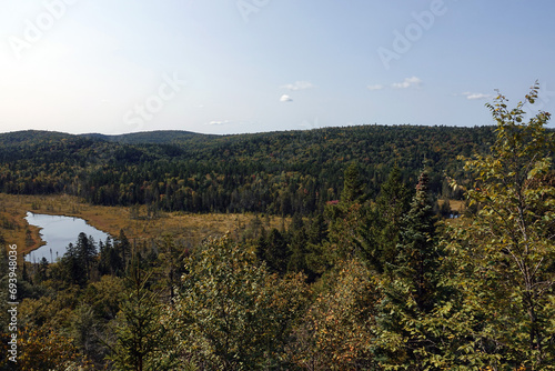 Randonnée dans le parc national de la Mauricie au Canada à la découverte de sa flore