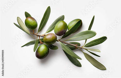 Olive branch with olives on white background