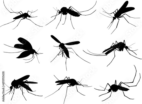 animal mosquito silhouettes © Dava