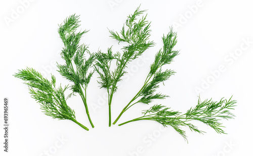 Five sprigs of green aromatic fresh dill on a white background isolated. Greens for health.