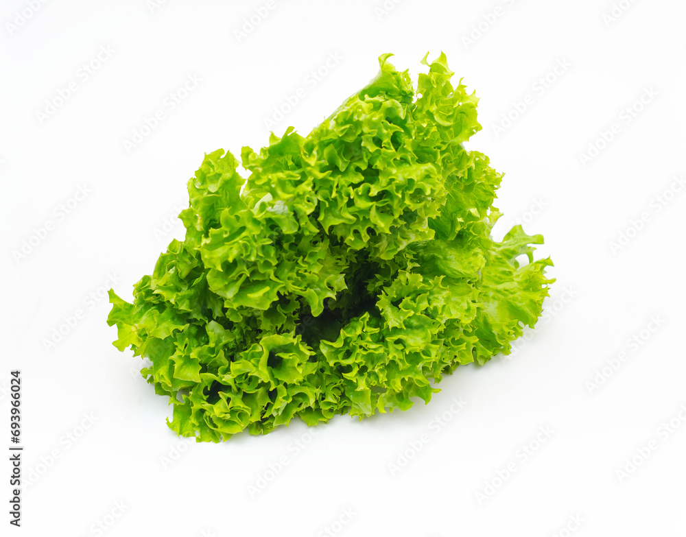 Bunch of fresh green salad. White background, isolated. Healthy plant-based nutrition. Bunch of fresh green salad. White background, isolated. Healthy plant-based nutrition.