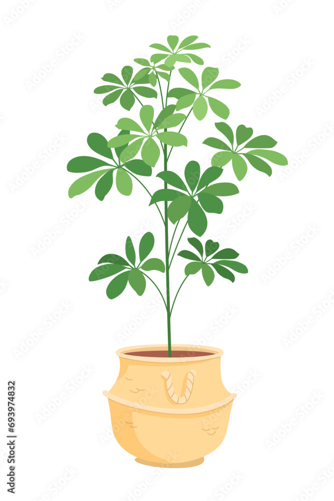 Monstera. Potted plant vector illustration. Big houseplant in floor flower pot. Indoor interior house and office flowerpot. Green flower for home decoration. Cozy landscaping Monstera. Potted plant vector illustration. Big houseplant in floor flower pot. Indoor interior house and office flowerpot. Green flower for home decoration. Cozy landscaping