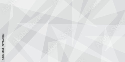 Abstract white and gray technology triangle lines background. Modern and geometric shape with paper texture design .Decorative for web layout or poster, banner design. Vector illustration.
