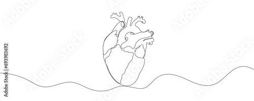 heart one line drawing illustration human heart one line