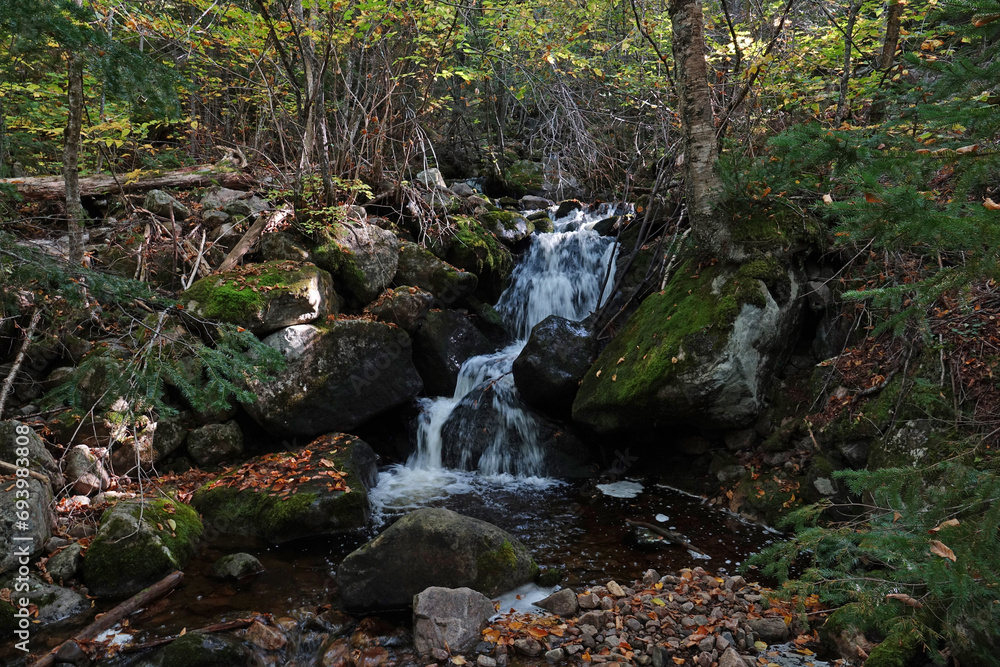 Randonnée dans le Parc National des Hautes-Gorges-de-la-Rivière-Malbaie à La Malbaie au Canada et rencontre avec ses magnifiques paysages Randonnée dans le Parc National des Hautes-Gorges-de-la-Rivière-Malbaie à La Malbaie au Canada et rencontre avec ses magnifiques paysages