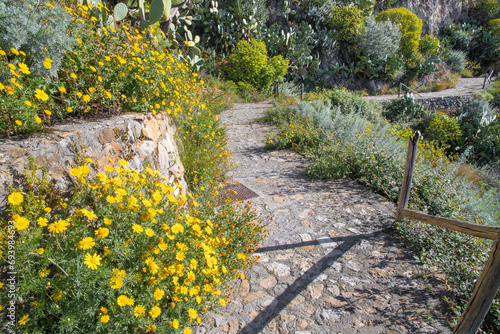 Taormina - The path among the spring mediterranean flowers.