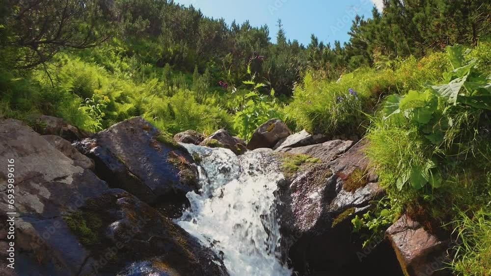 Powerful stream of water from a mountain waterfall. Powerful stream of water from a mountain waterfall.