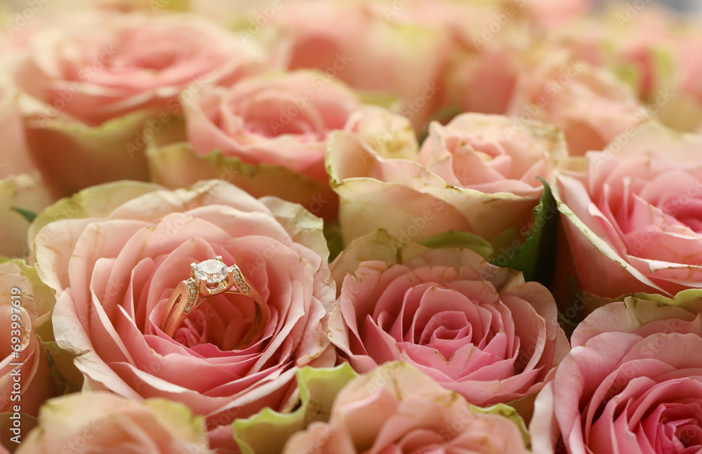 Gold diamond engagement ring in beautiful pink rose flower among big amount of roses in big bouquet close up with blurred background