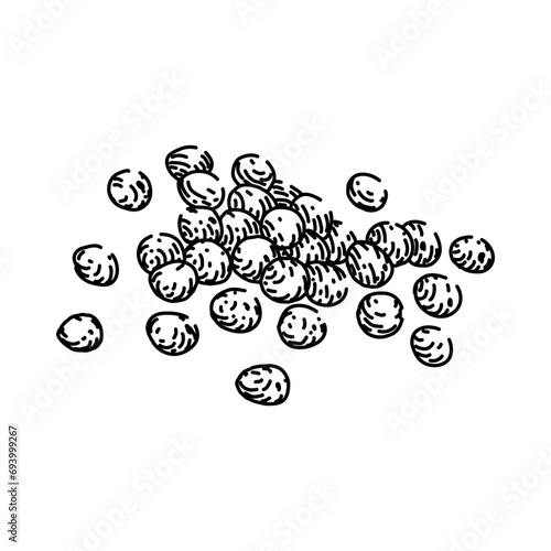 healthy millet hand drawn. seed wheat, vector corn, barley crop healthy millet vector sketch. isolated black illustration