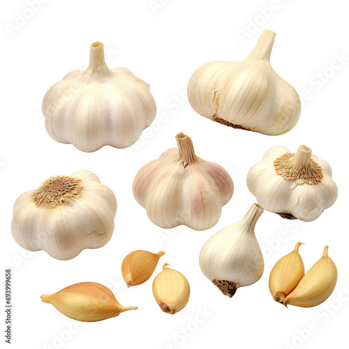 Set of garlics isolated on white background