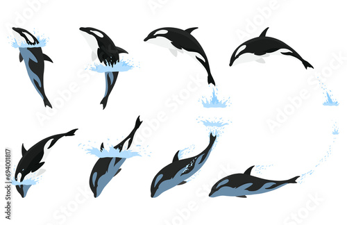 Orca animation in water set. Cartoon animal design. Ocean mammal orca isolated on white background. Whale killer jumping, predator fish illustration