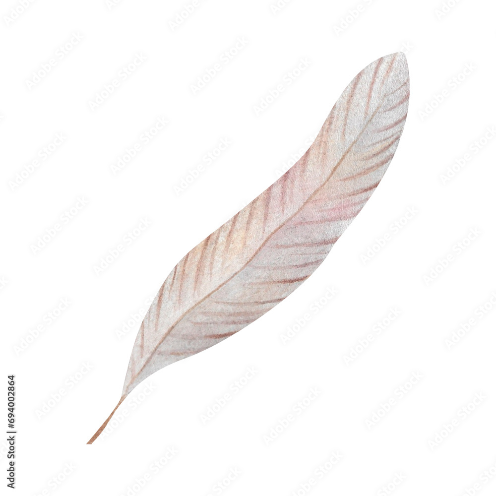 Watercolor swan pink and grey feather Hand painted isolated bird quill