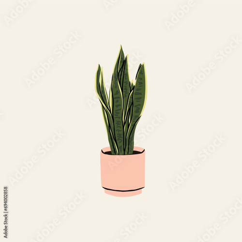 Flat vector snake plant illustration