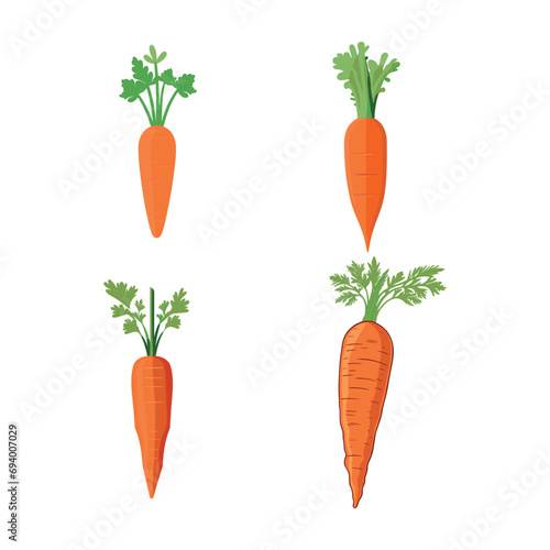 Set of carrots vector illustration