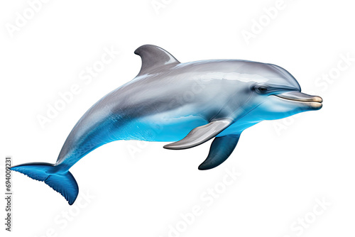 beautiful dolphin isolated transparent background