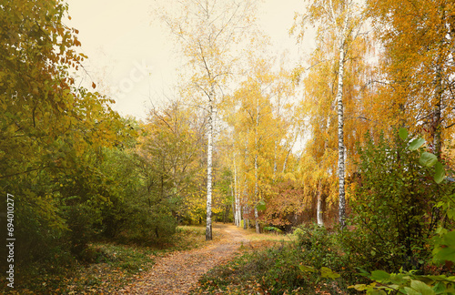 Beautiful Nature Autumn landscape. Scenery view on autumn city park with golden yellow foliage in cloudy day. Walking paths in the city Park strewn with autumn fallen leaves photo