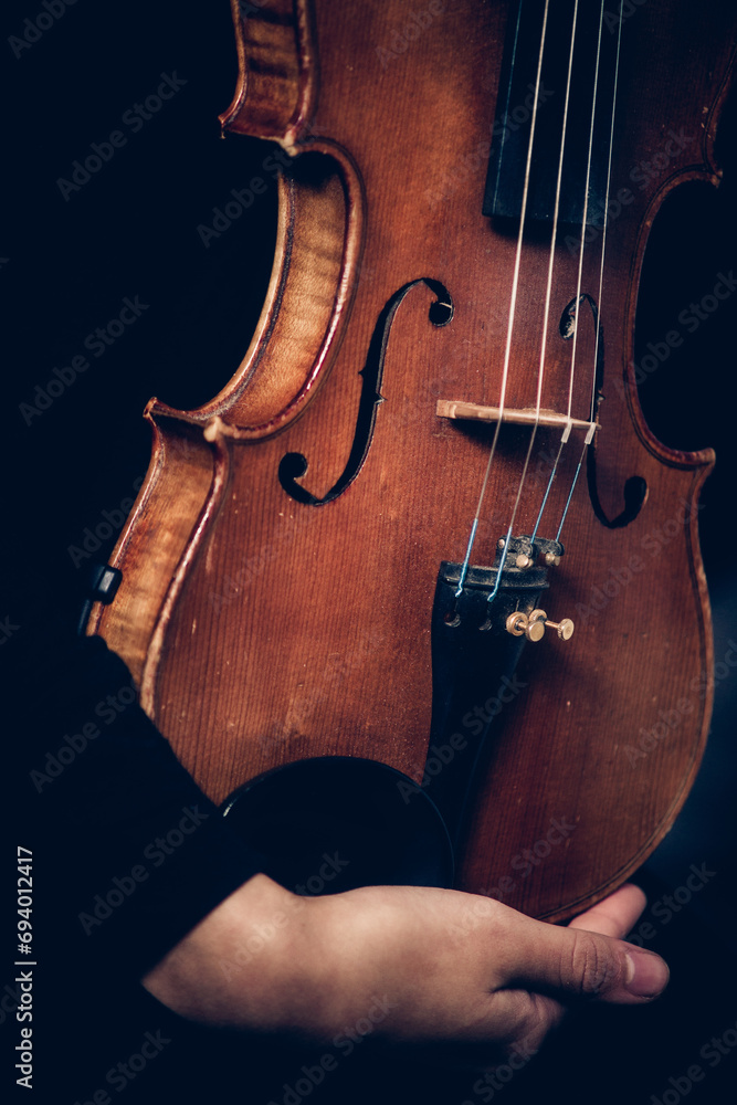 Fototapeta premium violin in female hands close-up