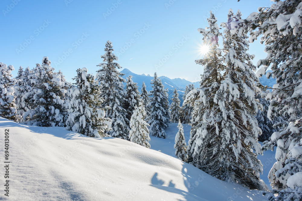 Obraz premium Winterlandschaft im Skigebiet Zillertal in Österreich