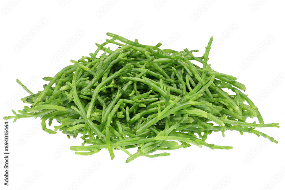 common glasswort isolated on white background common glasswort isolated on white background