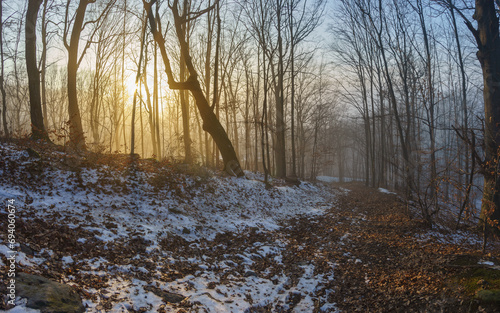 Snowy dirt road in a winter, foggy forest. Beech forest in a shroud of evening fog, soft sunset light