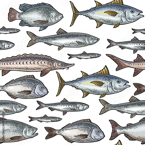 Seamless pattern different types fish. Vintage engraving