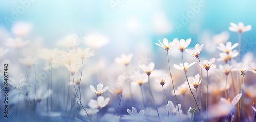 white daisy blossom flower field with bokeh and glow light, dream like fantasy in misty morning wildflower meadow, Generative Ai photo