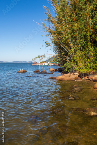 bambus e o trapiche na  Lagoa da Conceição  Florianópolis Santa Catarina Brasil