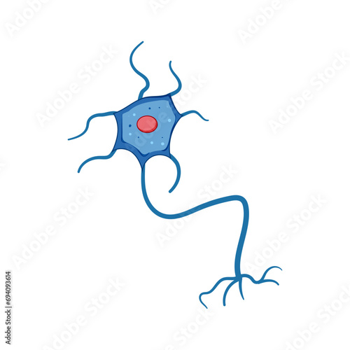 synapse neurons cartoon. structure human, anatomy diagram, myelin axon synapse neurons sign. isolated symbol vector illustration