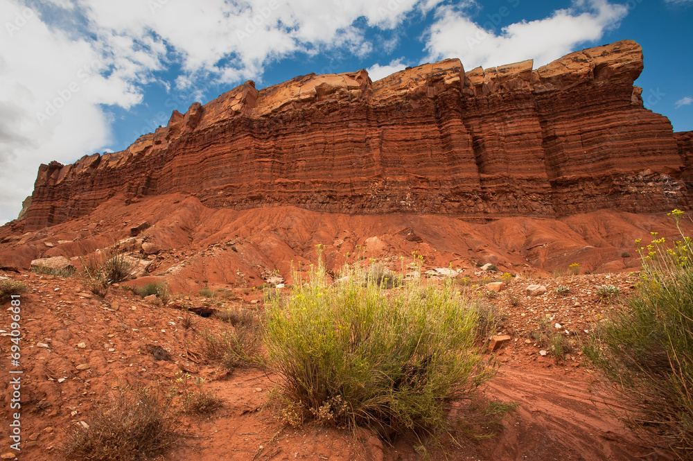 Capitol Reef National Forest,