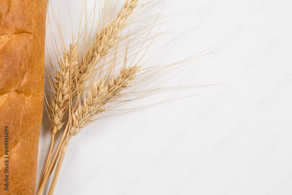 Fresh loaves of bread, various breads for toasts and sandwiches, delicious crispy breads, gluten-free breads, fresh flour and wheat breads Fresh loaves of bread, various breads for toasts and sandwiches, delicious crispy breads, gluten-free breads, fresh flour and wheat breads