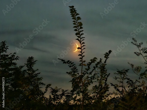    
New moon above Avala mountain photo