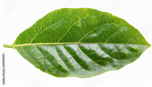 Passion fruit leaf isolated on white background with clipping path
