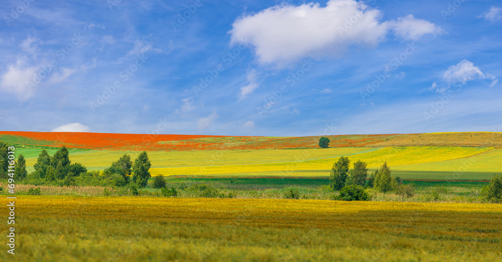 Panoramic summer landscape. Gorgeous scenery with multi-colored flowers under the sky with beautiful clouds.