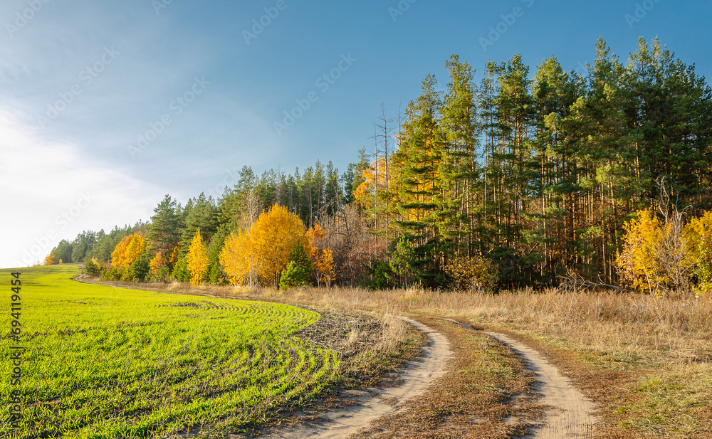 Spring landscape with beautiful rural road in the countryside