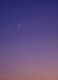 First quarter moon on the colorful sunset sky, can be used as a background.